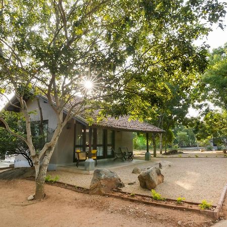 Koragaha Lodge - Yala Тиссамахарама Экстерьер фото